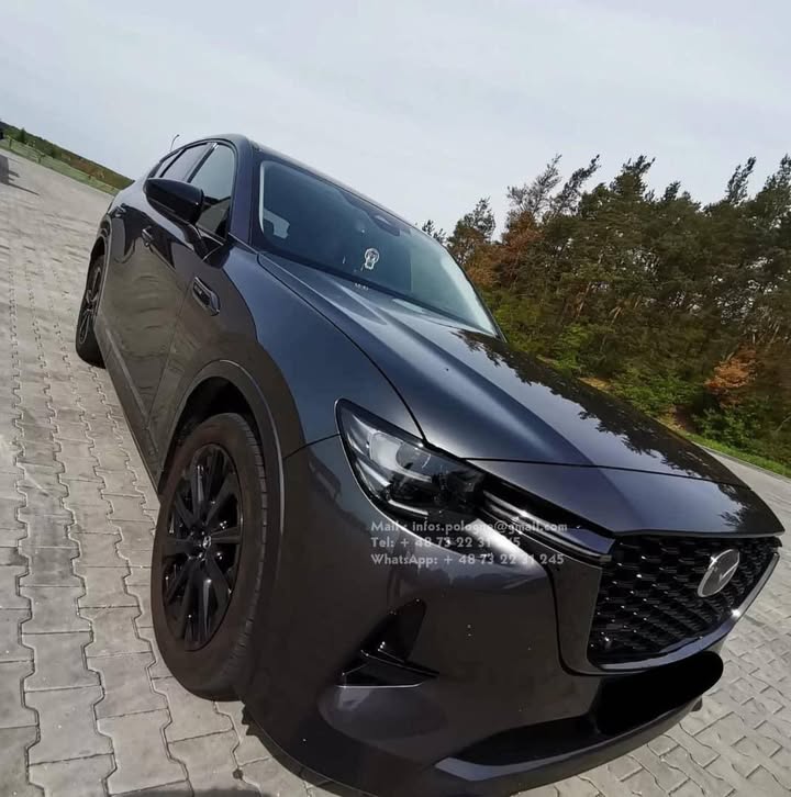 FB_IMG_1755349434139