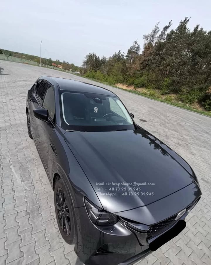 FB_IMG_1755349436425