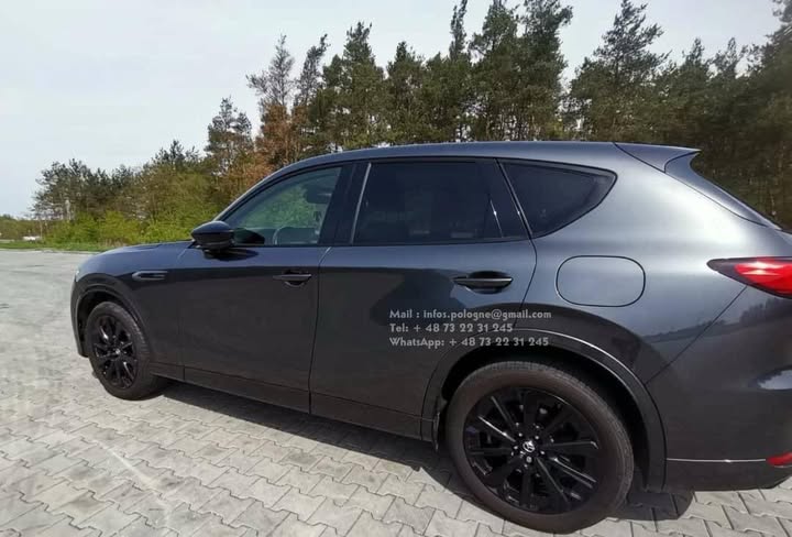 FB_IMG_1755349438765