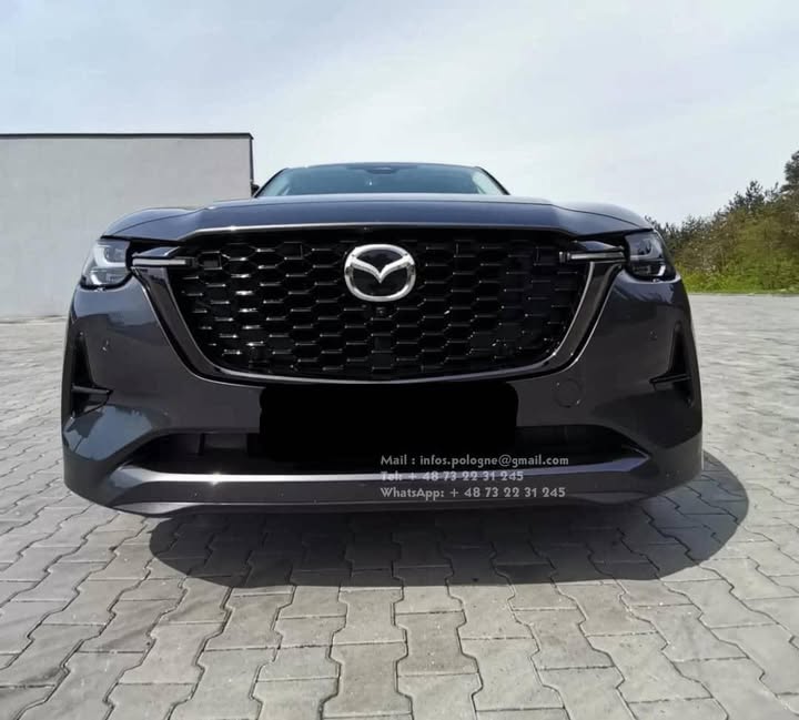 FB_IMG_1755349441091