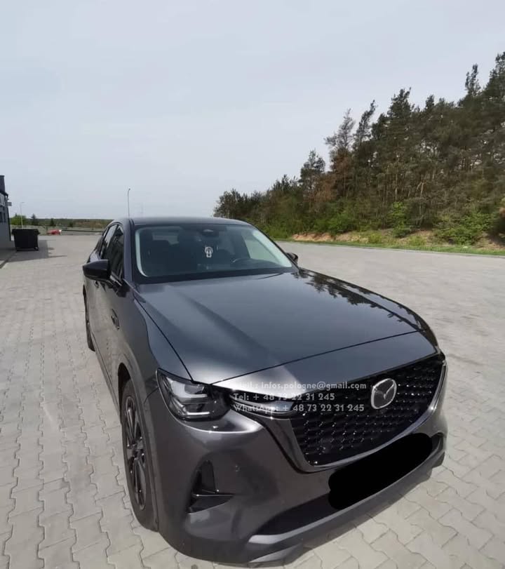 FB_IMG_1755349463584