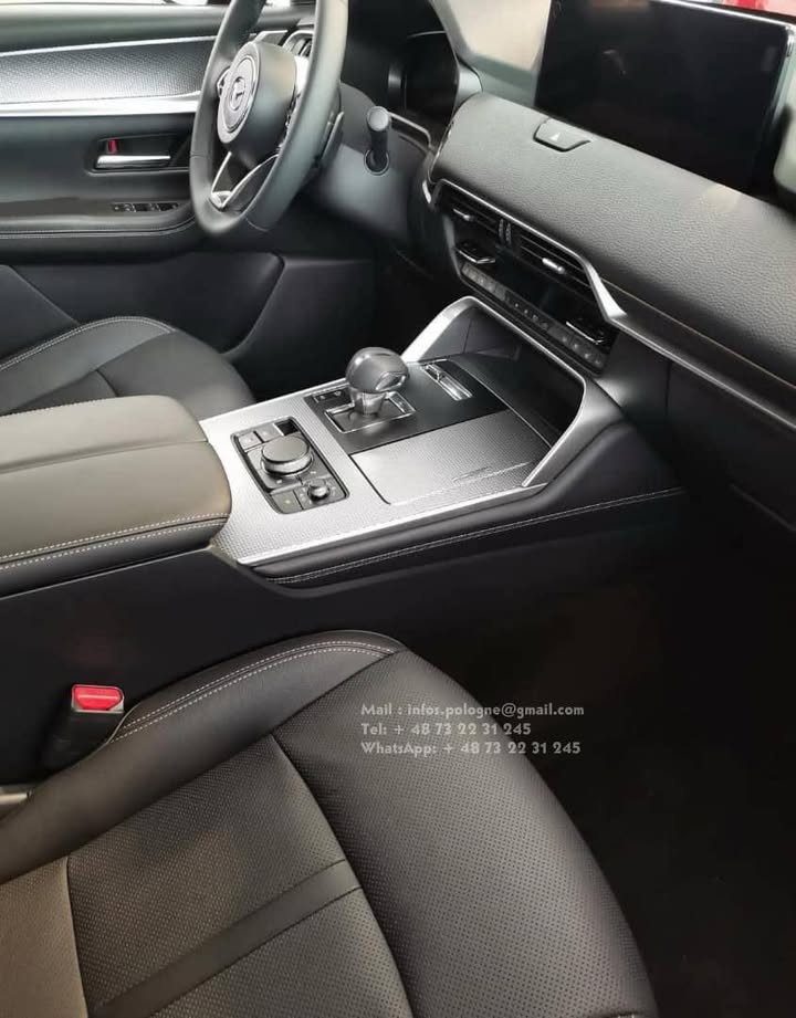 FB_IMG_1755349465756