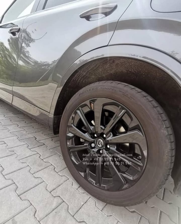 FB_IMG_1755349472533