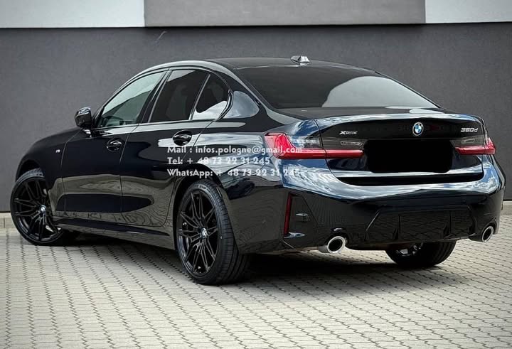 FB_IMG_1755737506843