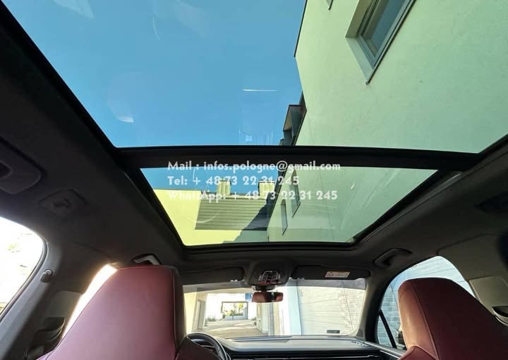 FB_IMG_1755739959271