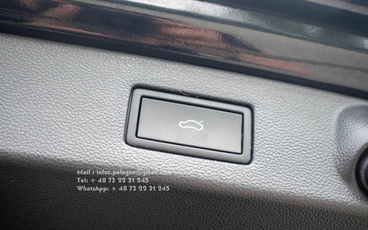 FB_IMG_1755877342371