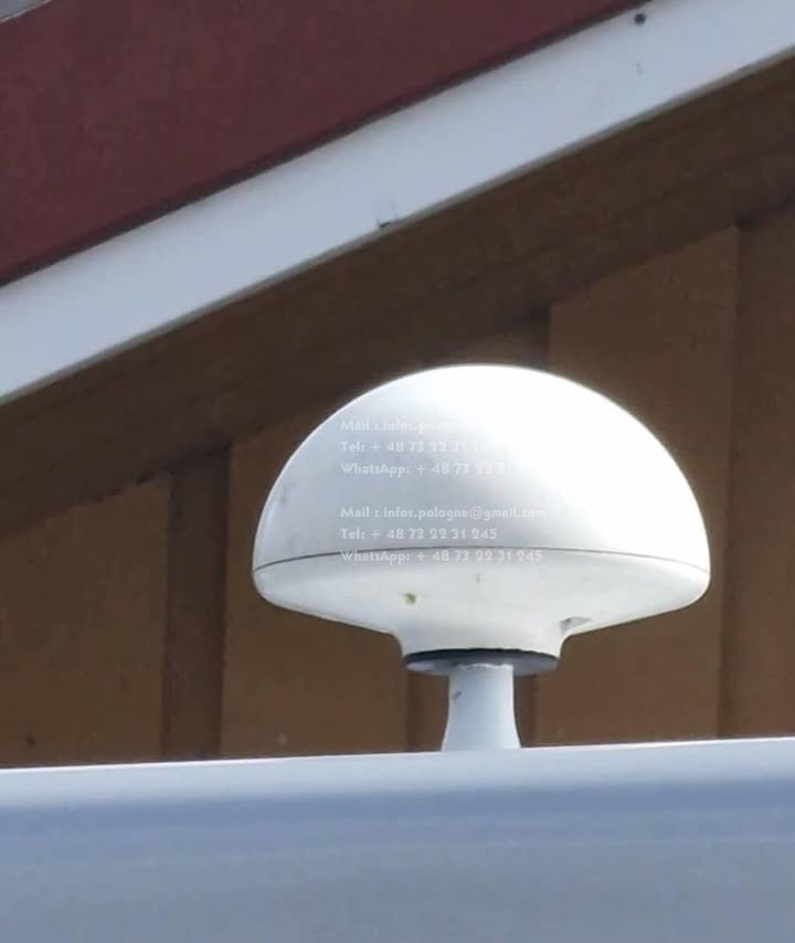 FB_IMG_1756222520351