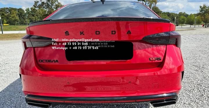 FB_IMG_1756242647128