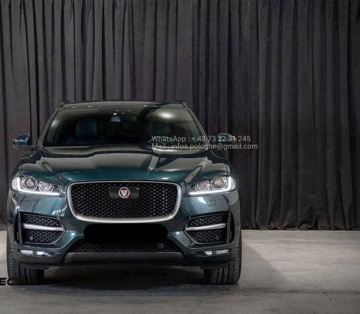 FB_IMG_1756372997851