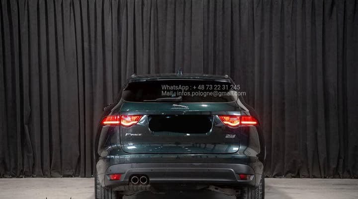 FB_IMG_1756372999969