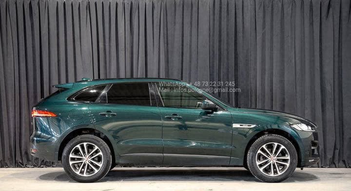 FB_IMG_1756373002183