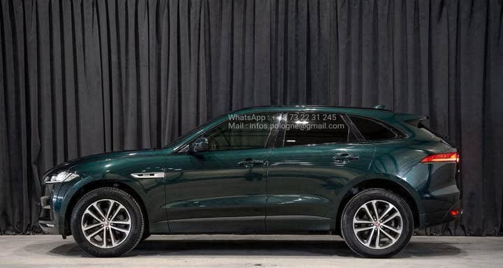 FB_IMG_1756373005456