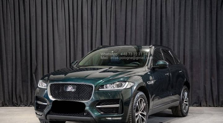 FB_IMG_1756373008551