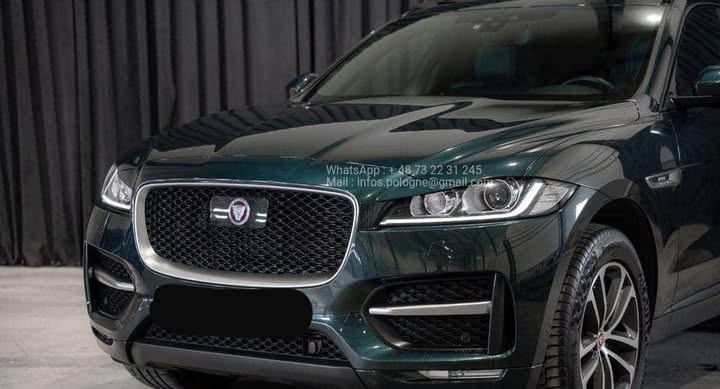 FB_IMG_1756373011558