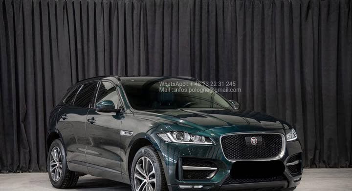 FB_IMG_1756373013782