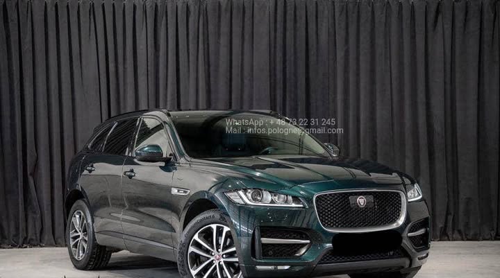 FB_IMG_1756373015922