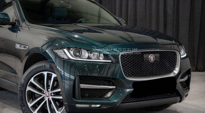 FB_IMG_1756373018046