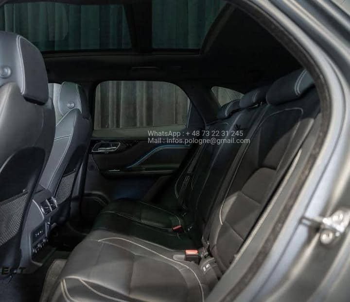 FB_IMG_1756373212837