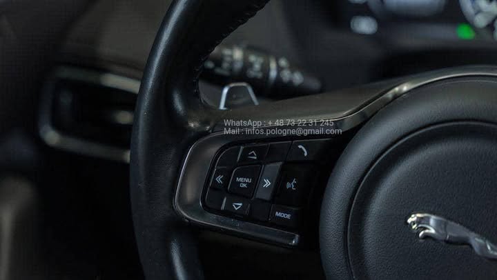 FB_IMG_1756373276367