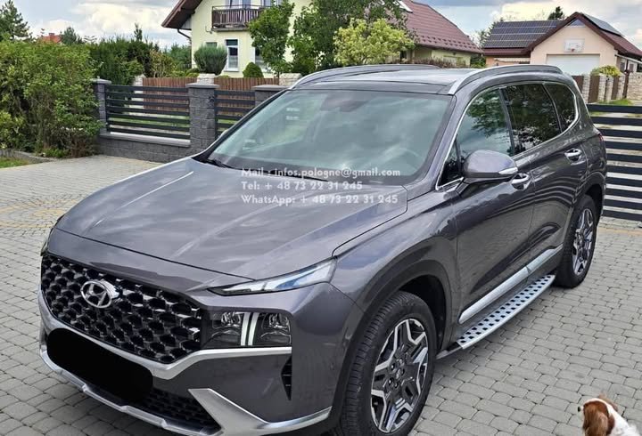 FB_IMG_1756676518941