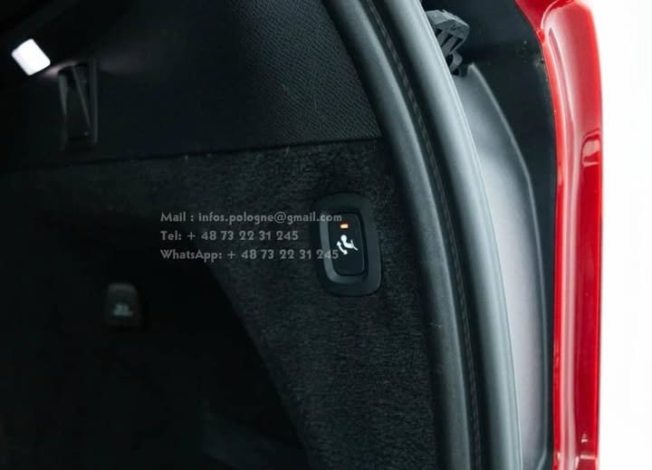 FB_IMG_1762068694120