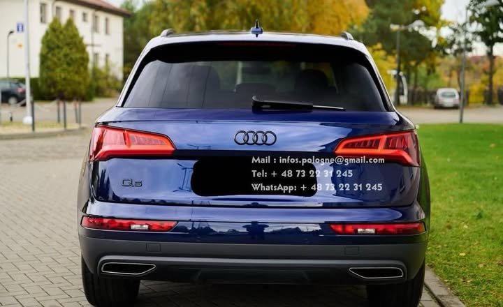 FB_IMG_1762327611591