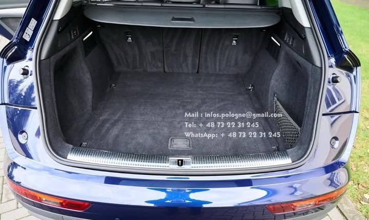 FB_IMG_1762327648998