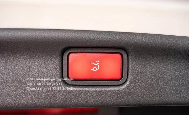 FB_IMG_1762411013335