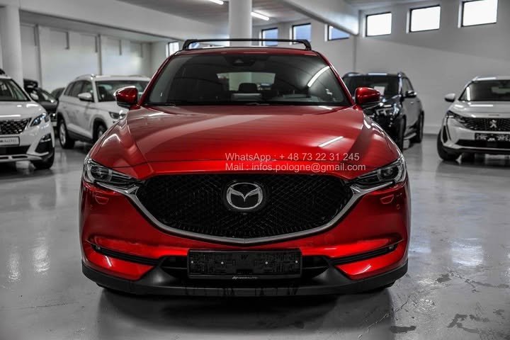 FB_IMG_1762411134150