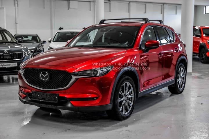 FB_IMG_1762411136085