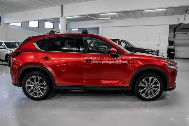 FB_IMG_1762411139132