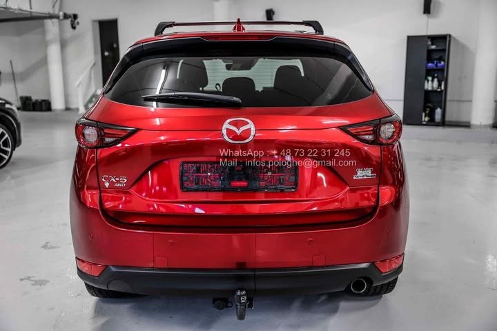 FB_IMG_1762411141656