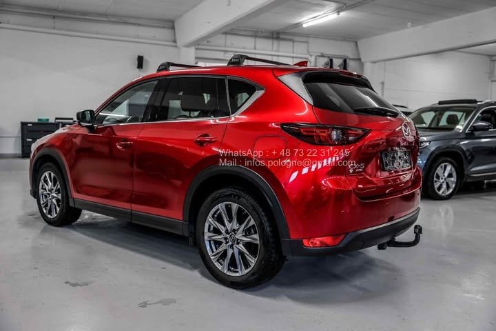 FB_IMG_1762411144548