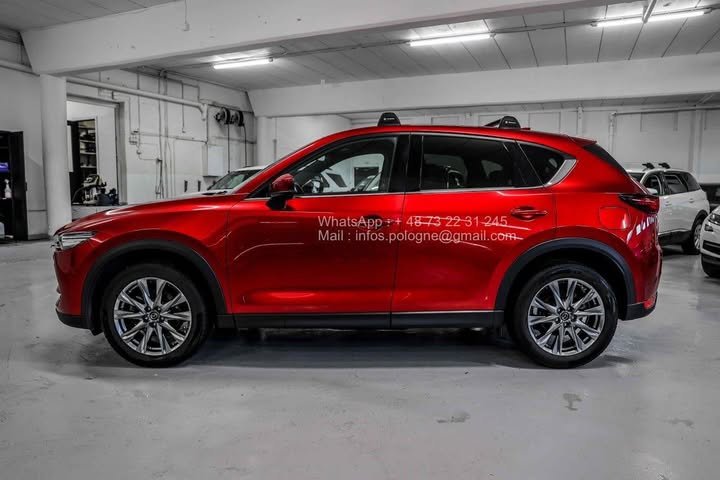 FB_IMG_1762411146539