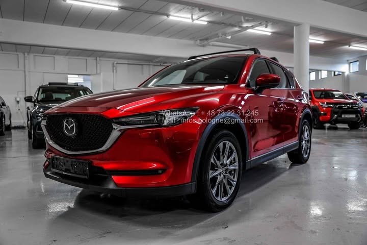 FB_IMG_1762411149549