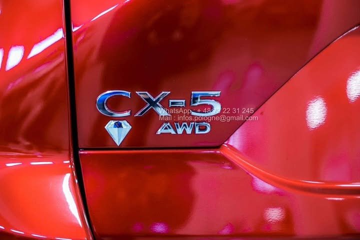 FB_IMG_1762411151623