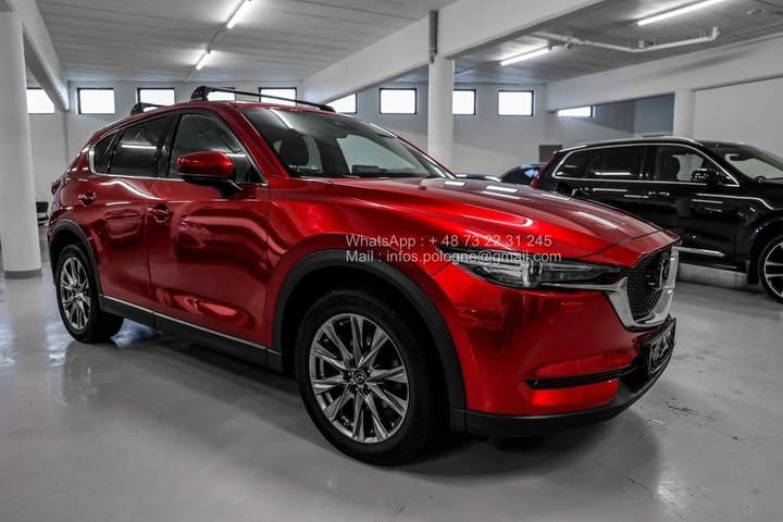 FB_IMG_1762411153846