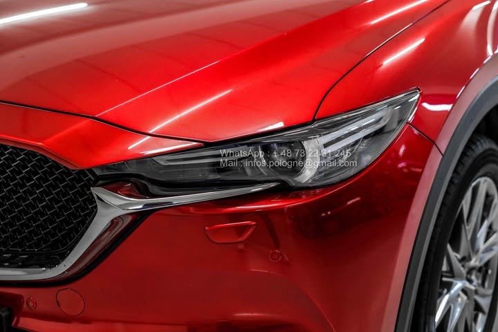 FB_IMG_1762411155851