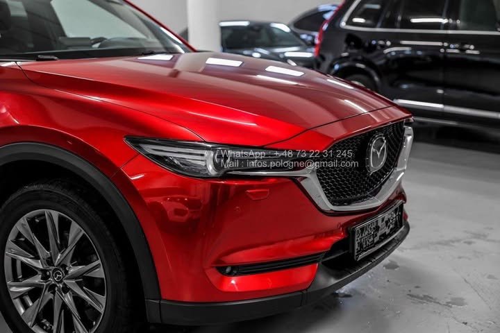 FB_IMG_1762411159615