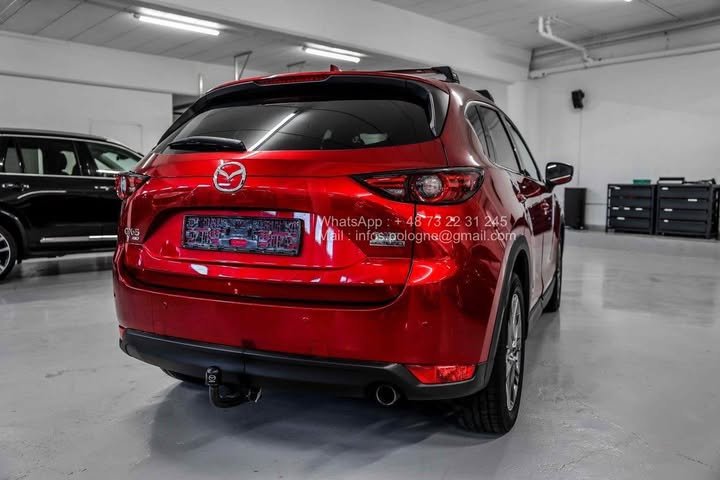 FB_IMG_1762411163012