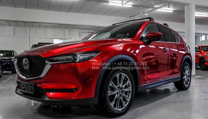 FB_IMG_1762411165015