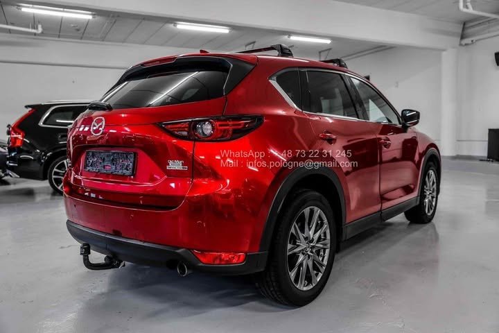 FB_IMG_1762411167075