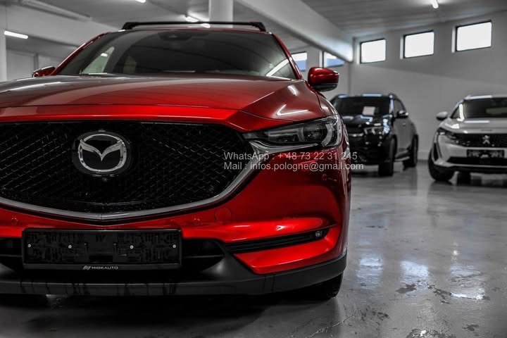 FB_IMG_1762411169079