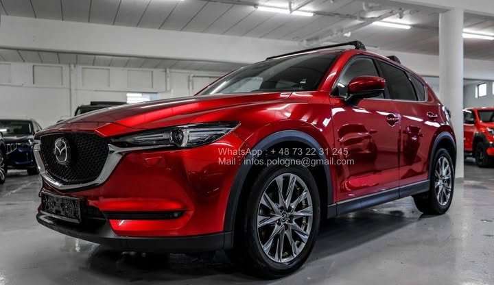 FB_IMG_1762411171876