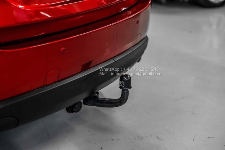 FB_IMG_1762411173848