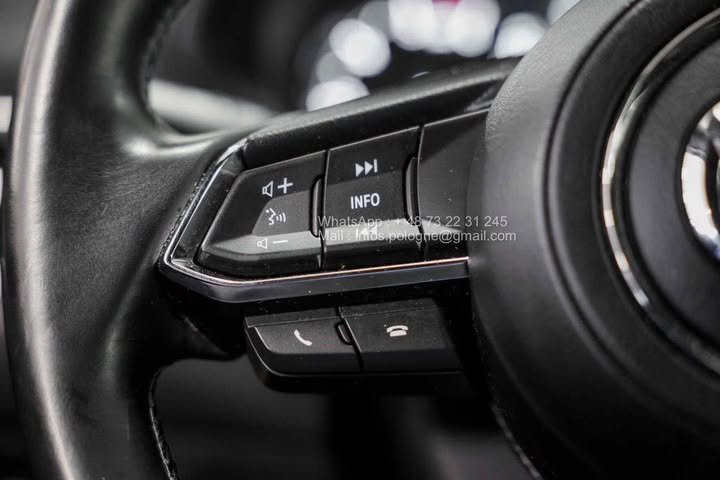 FB_IMG_1762411179147