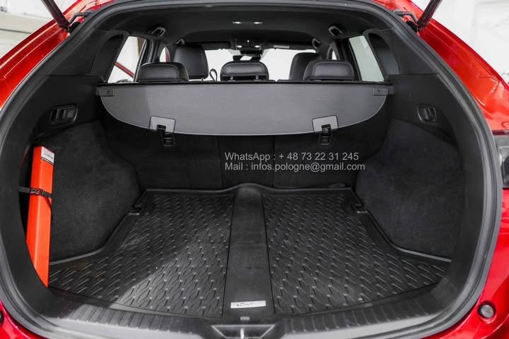 FB_IMG_1762411191645