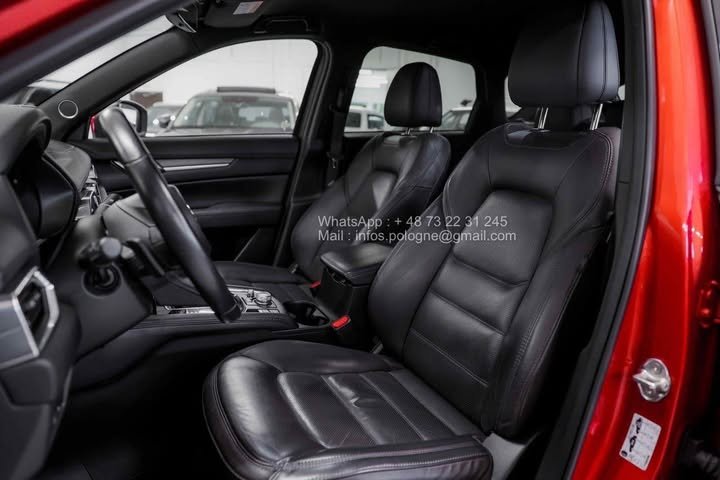 FB_IMG_1762411194217