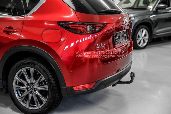 FB_IMG_1762411215709