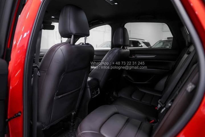 FB_IMG_1762411226025